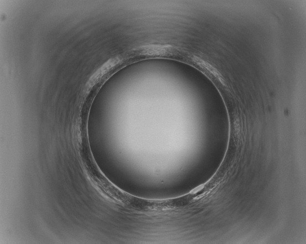 X0000080690682200612221053