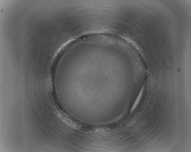 X0000080690684200612221053