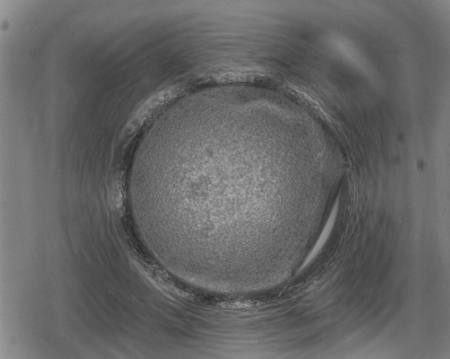 X0000080690687200612221053