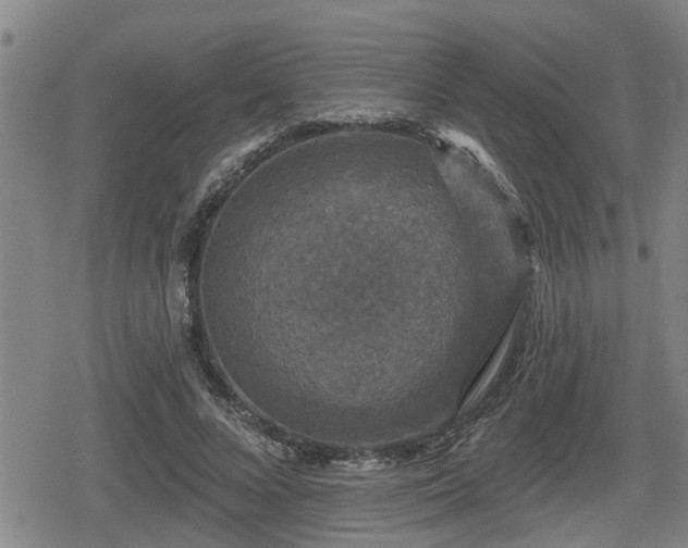 X0000080690688200612221053