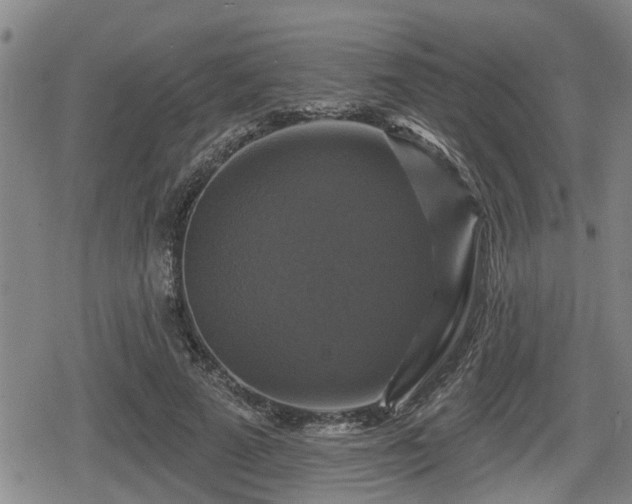 X0000080690689200612221053