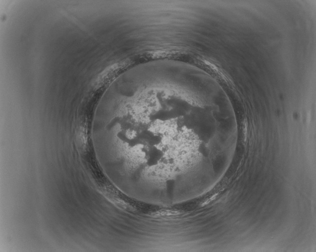 X0000080690691200612221053