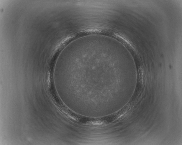 X0000080690692200612221053