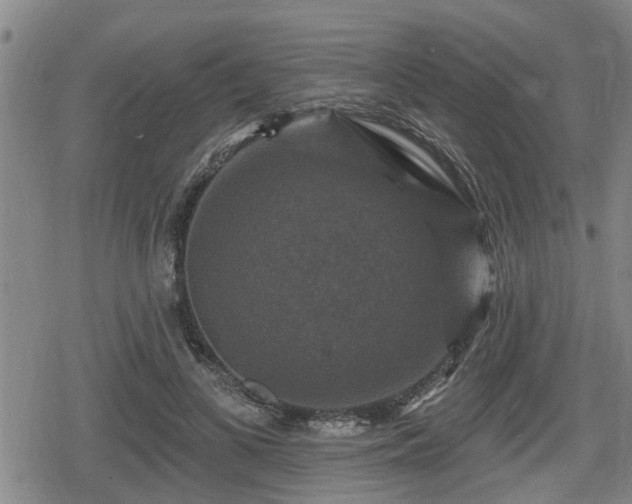 X0000080690693200612221053