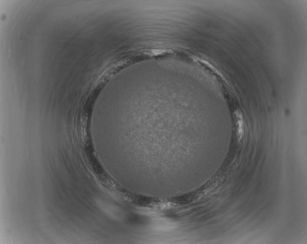 X0000080690695200612221053