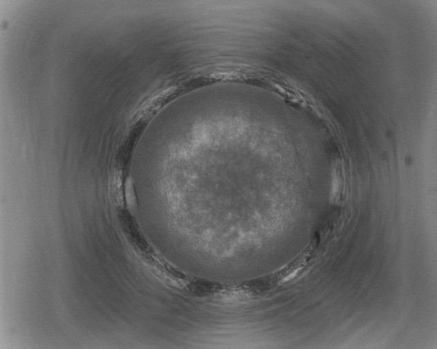 X0000080690696200612221053