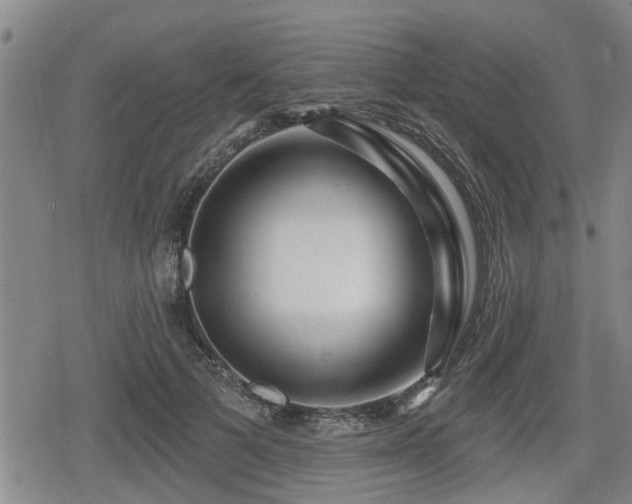 X0000080690697200612221053