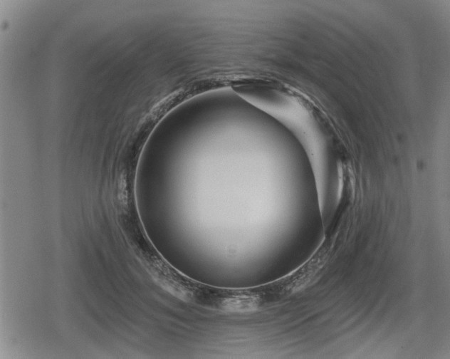 X0000080690700200612221053