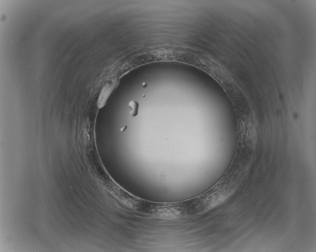 X0000080690702200612221053