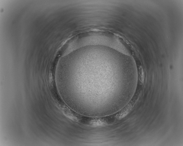 X0000080690704200612221053