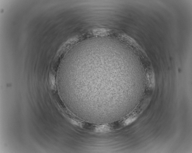 X0000080690705200612221053