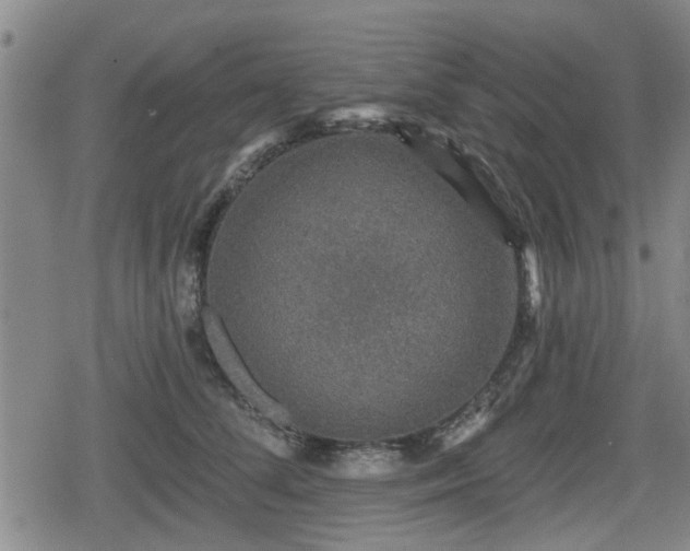 X0000080690708200612221053