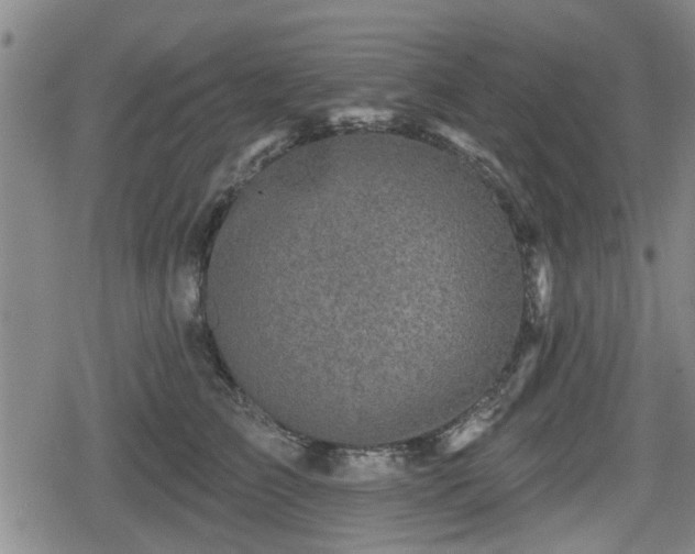 X0000080690709200612221053