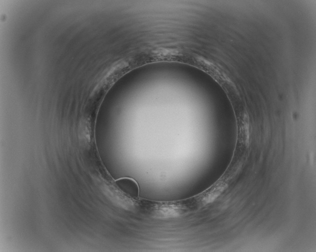 X0000080690710200612221053