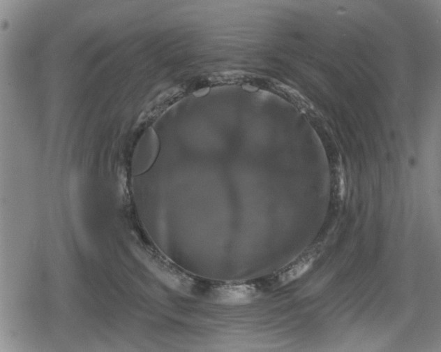 X0000080690711200612221053