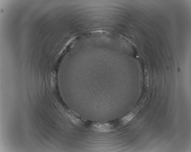 X0000080690712200612221053