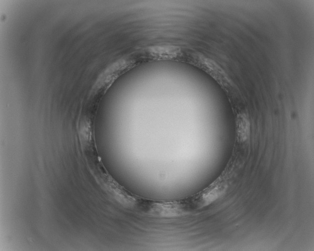 X0000080690713200612221053