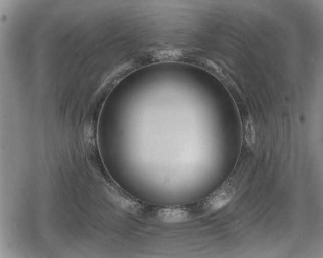 X0000080690714200612221053