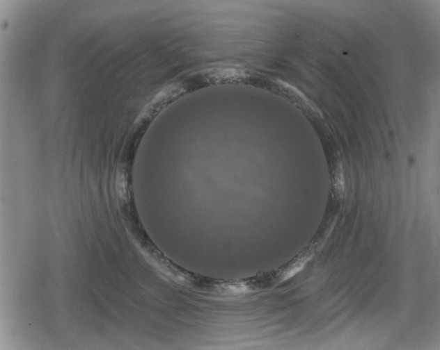 X0000080690715200612221053