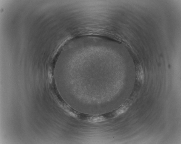 X0000080690716200612221052