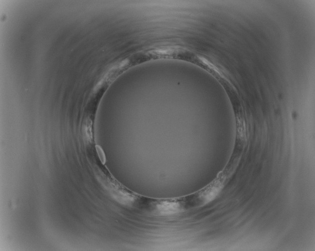 X0000080690718200612221052