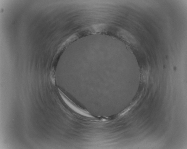 X0000080690719200612221052