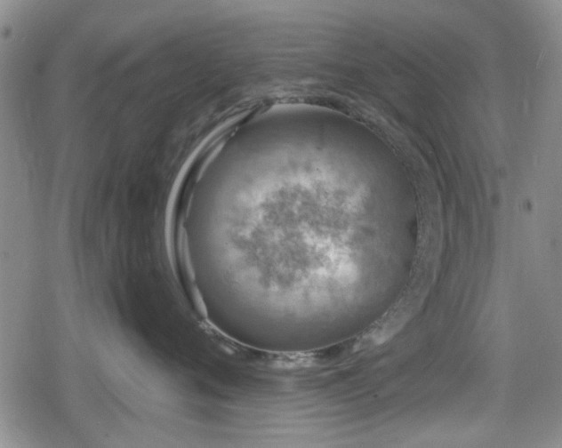 X0000080690720200612221052