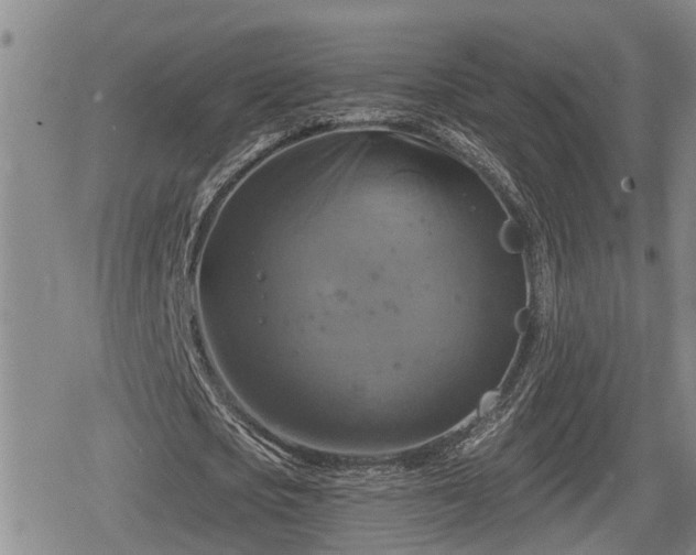 X0000080690721200612221052