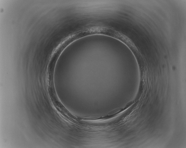 X0000080690722200612221052