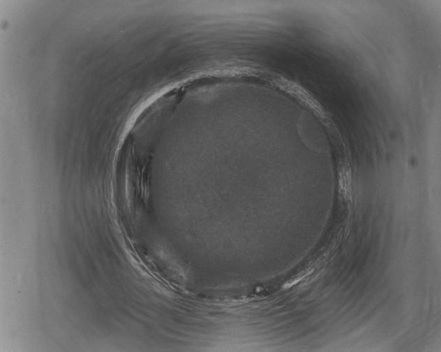 X0000080690724200612221052