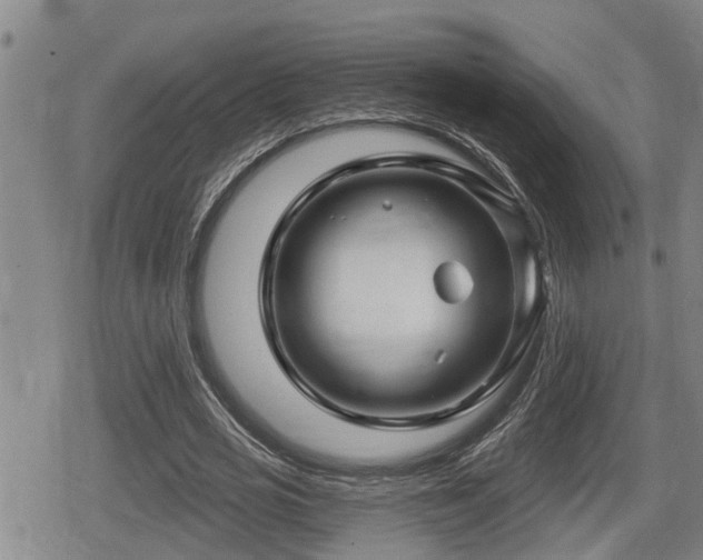 X0000080690725200612221052