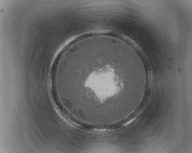 X0000080690726200612221052