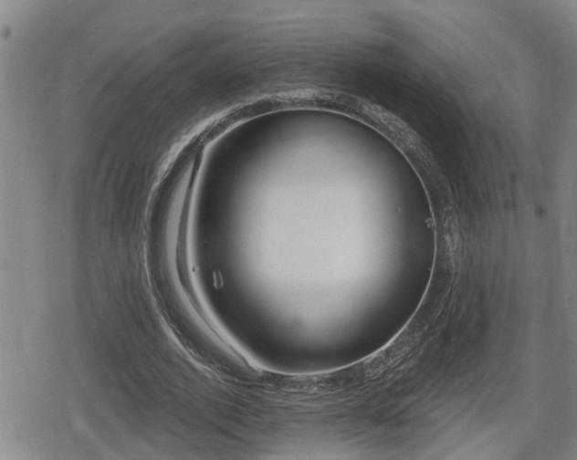 X0000080690728200612221052