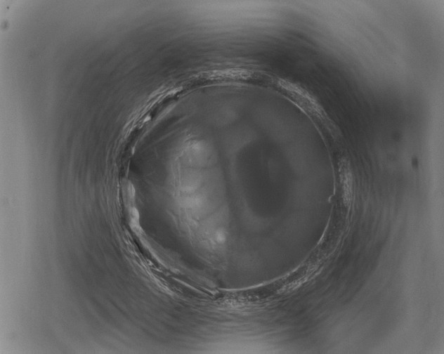 X0000080690729200612221052