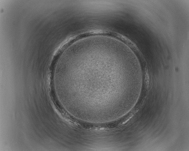 X0000080690730200612221052