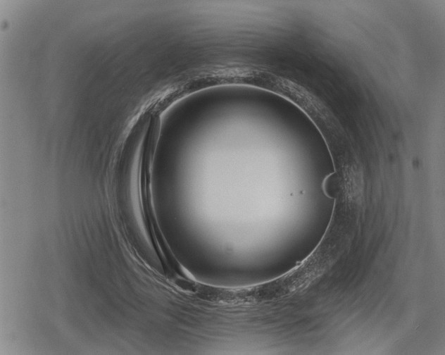 X0000080690731200612221052