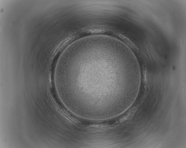 X0000080690733200612221052