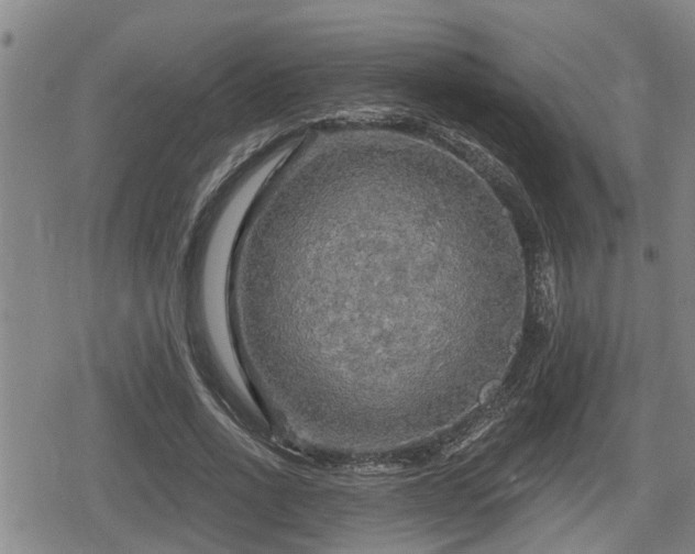 X0000080690734200612221052