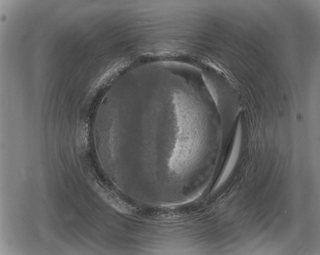 X0000080690735200612221052