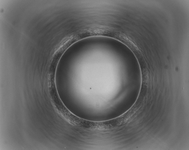 X0000080690738200612221052