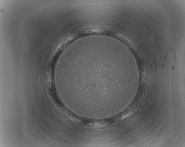 X0000080690739200612221052