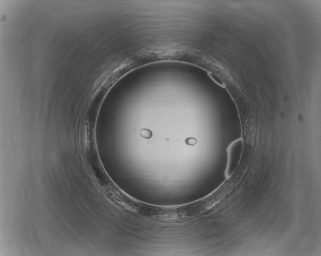 X0000080690740200612221052