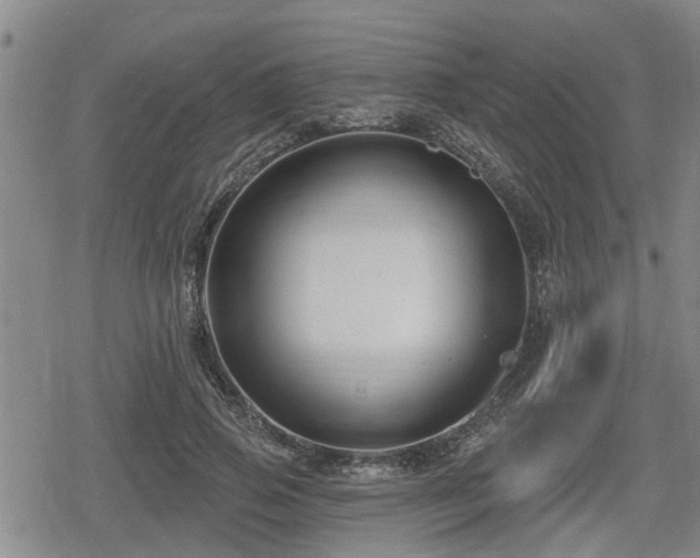 X0000080690741200612221052