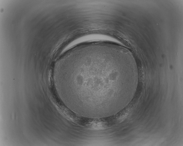 X0000080690742200612221052