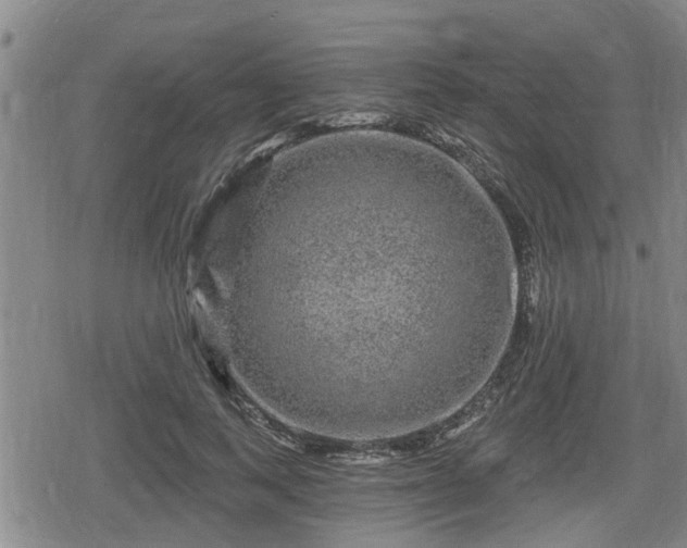 X0000080690743200612221052