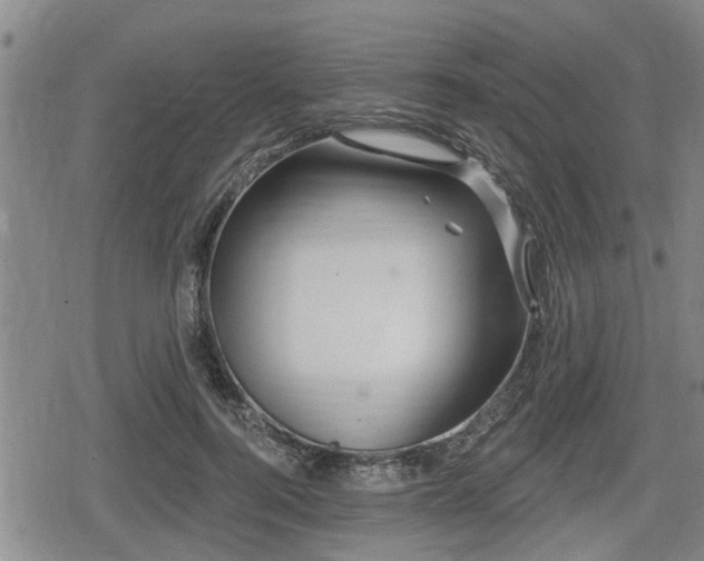 X0000080690744200612221052