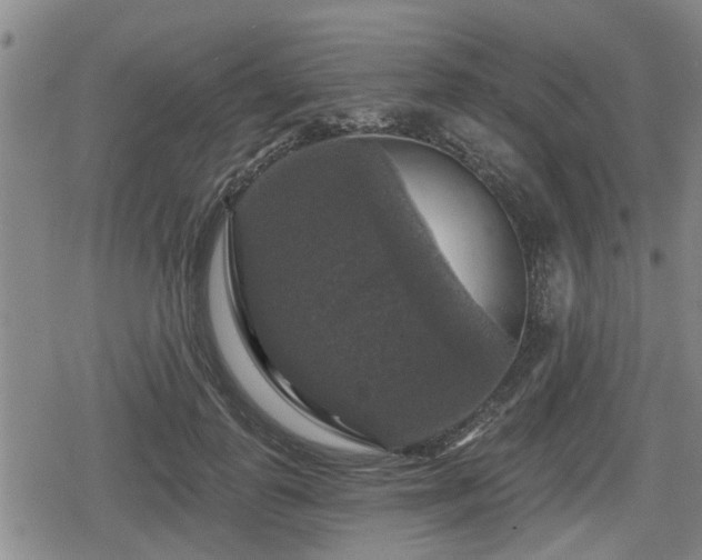 X0000080690747200612221052