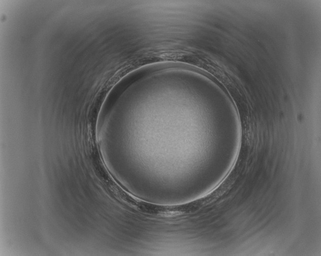 X0000080690748200612221052