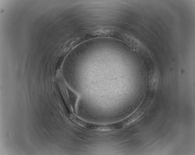 X0000080690749200612221052