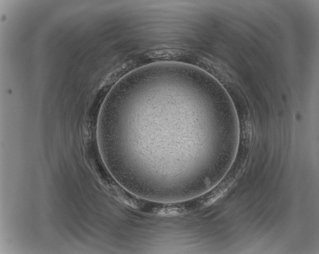 X0000080690751200612221052